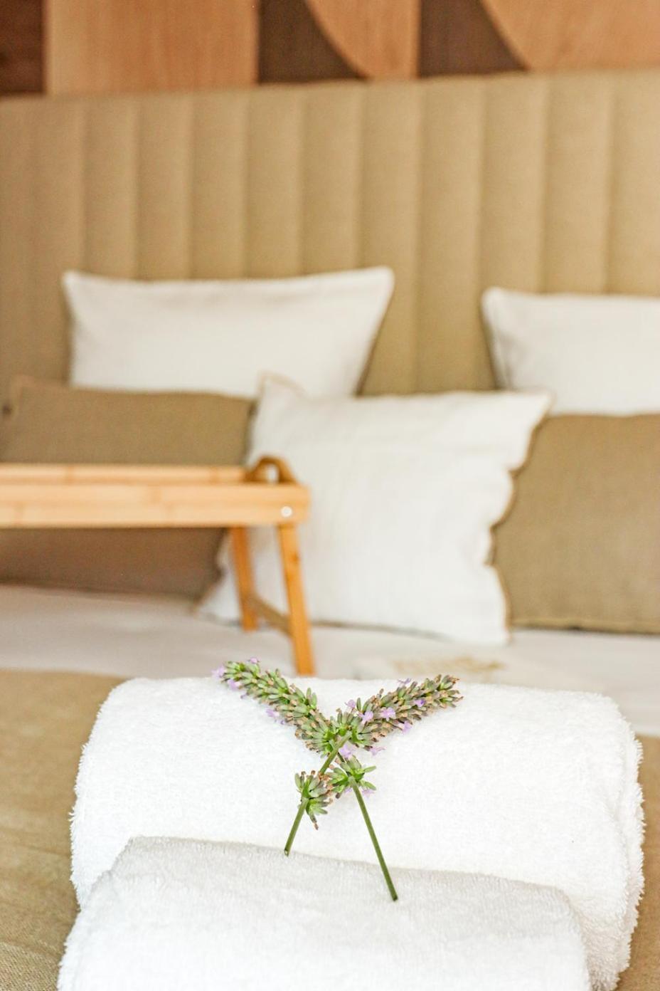 Les Gites De Laure - L'Eden Romantique, Chambres Hotes, Spa Prive, Couloir De Nage, Adults Only Malves-en-Minervois Eksteriør bilde