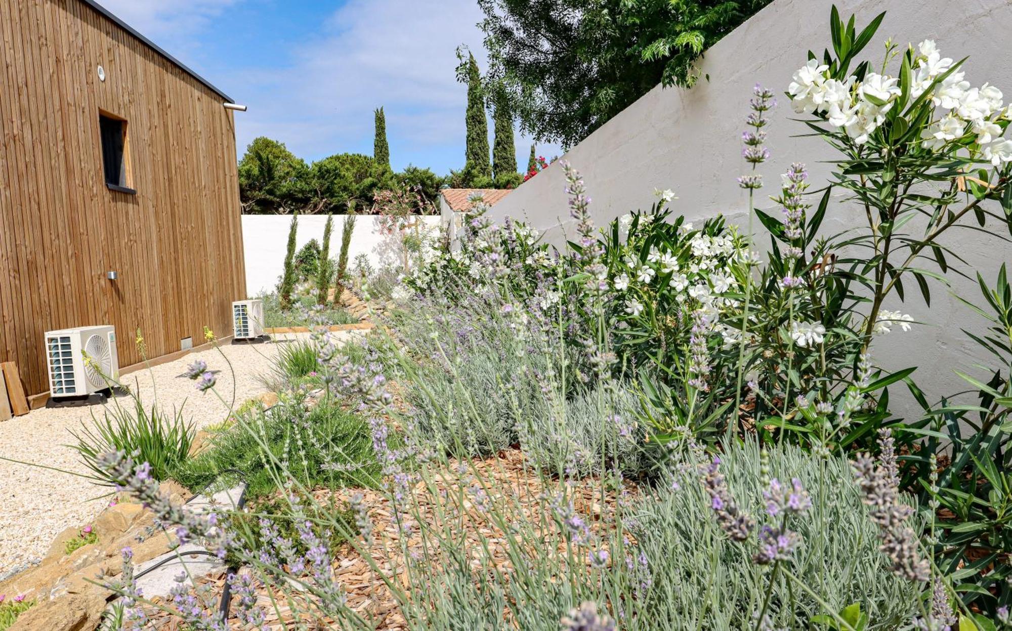 Les Gites De Laure - L'Eden Romantique, Chambres Hotes, Spa Prive, Couloir De Nage, Adults Only Malves-en-Minervois Eksteriør bilde